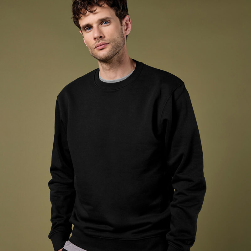 Regular fit sweatshirt