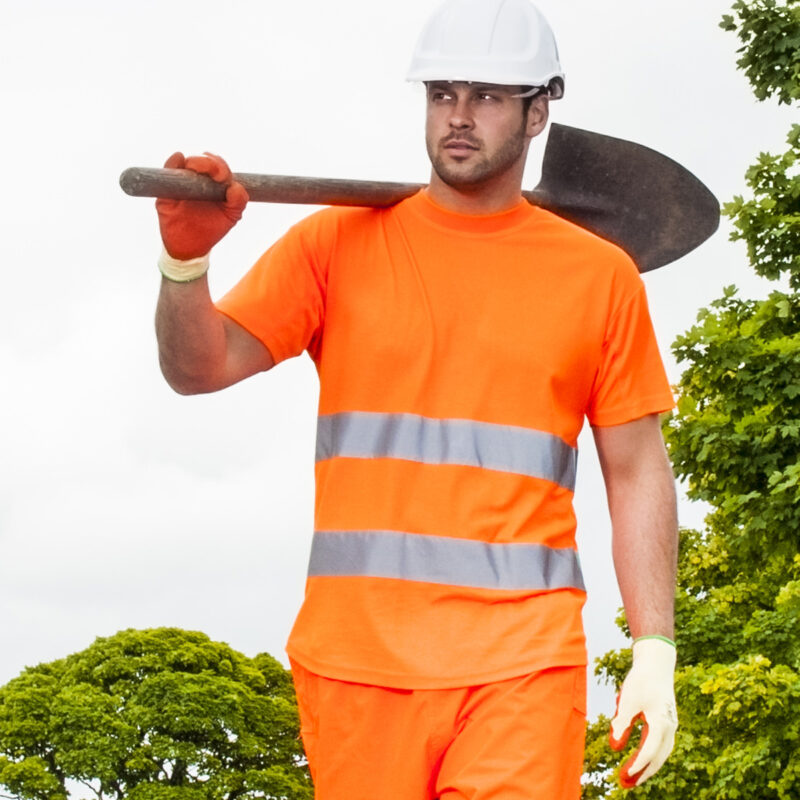 Cotton Comfort t-shirt (S172)